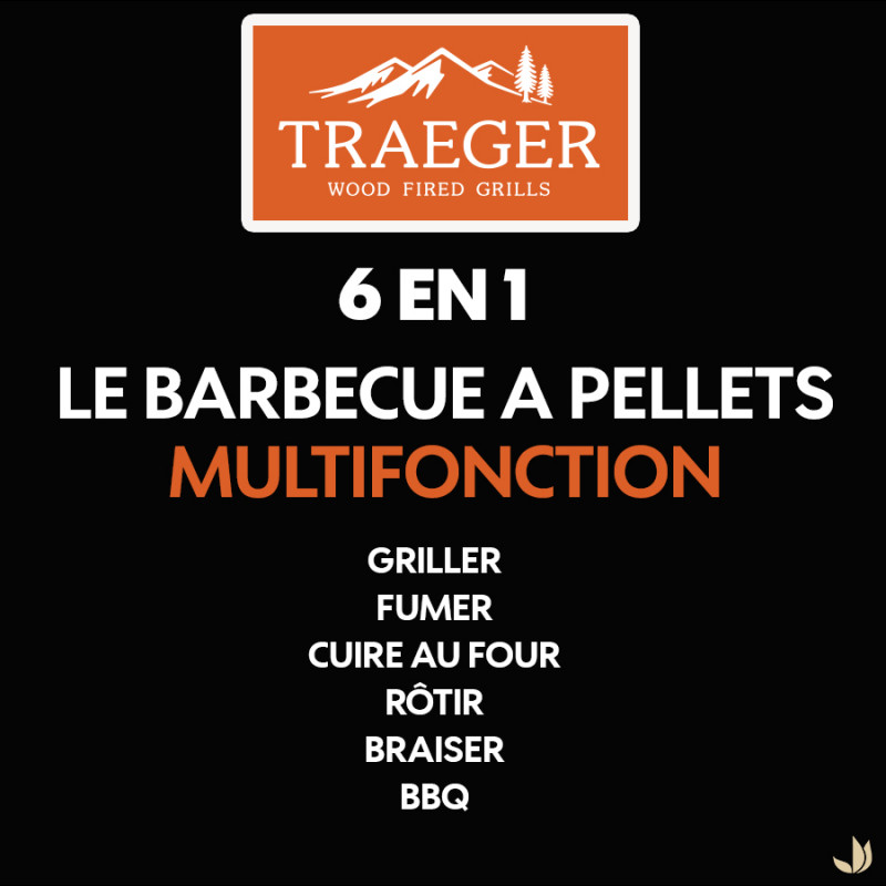 Barbecue Pro D2 780 Traeger : noir