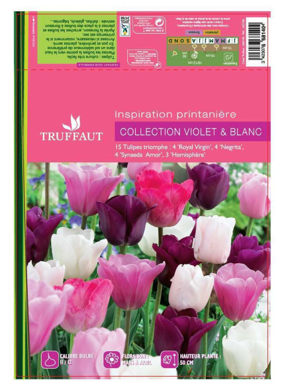 Bulbes de tulipes blanc, rose, violette - x15