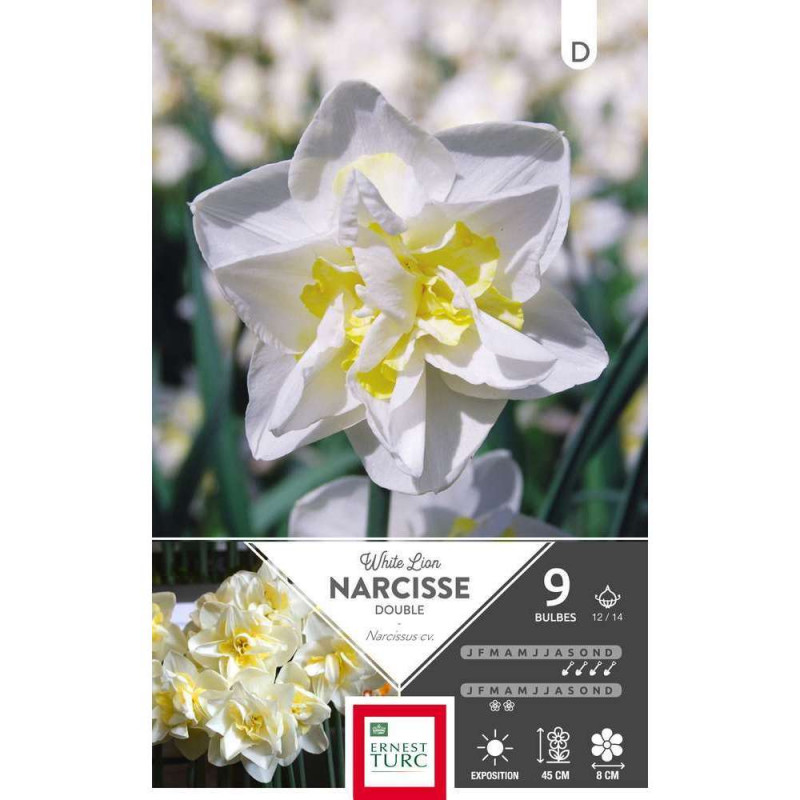 Bulbes de narcisses doubles 'White Lion' - x9