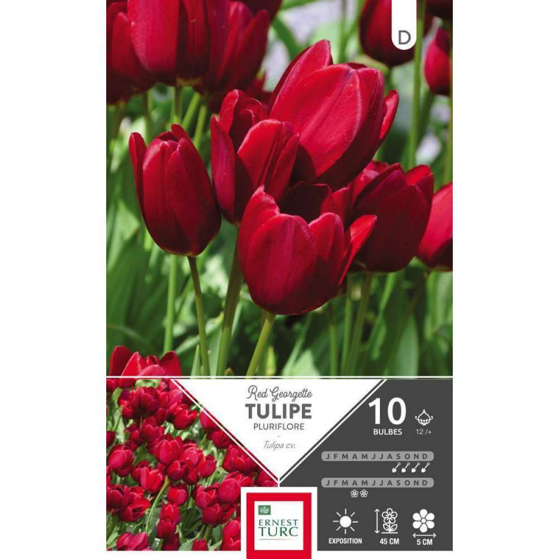 Tulipe Red Georgette