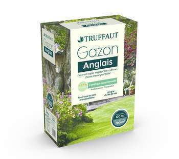Gazon anglais 3 kg truffaut