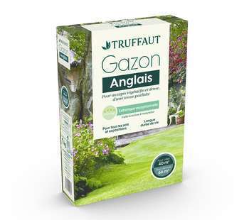 Gazon anglais 1 kg truffaut