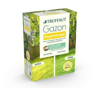 Gazon regarnissage 3 kg truffaut