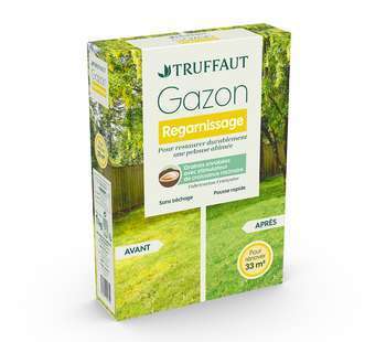 Gazon regarnissage 1 kg truffaut