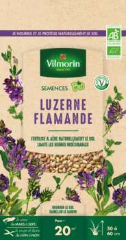 Luzerne Flamande Bio 60 G