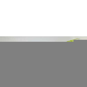 Balai de jardin vert pour enfant fil plat 7 dents
