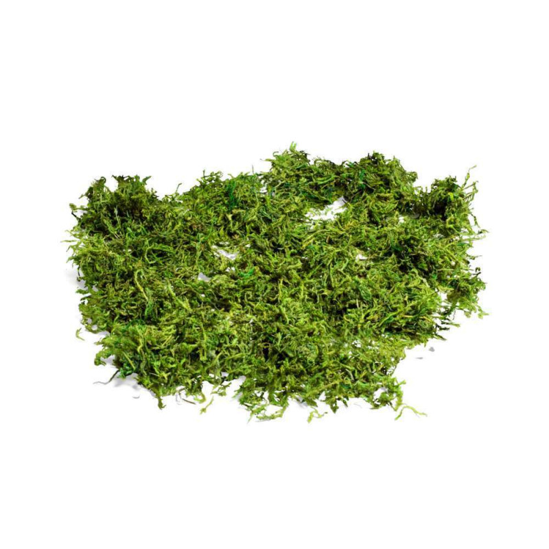 Mousse naturelle semi-sèche - 50g