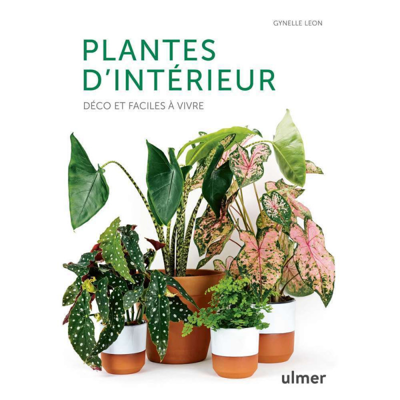 Livre Plantes d'intérieur déco et faciles à vivre