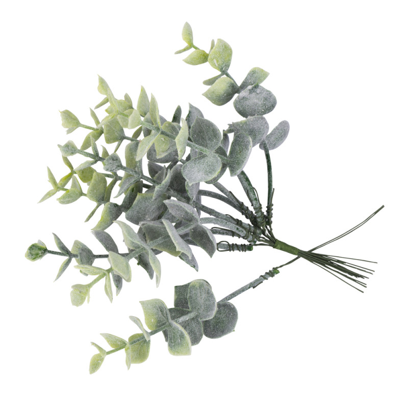 10 branches eucalyptus vert blanchi sur tige - 17c
