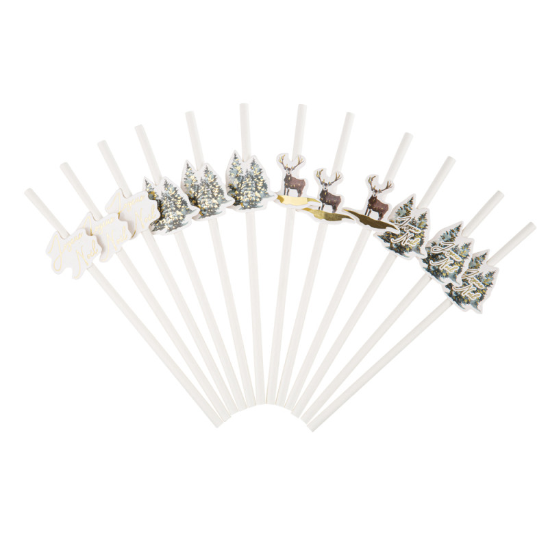Pailles Winterland x12