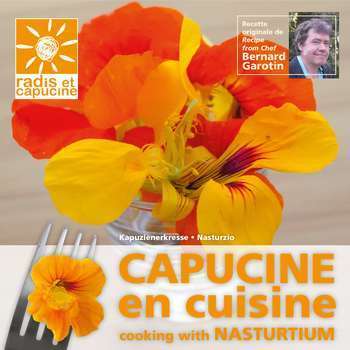 Graines Capucine, fleur comestible