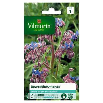 Graines de Bourrache Officinale en sachet en sache