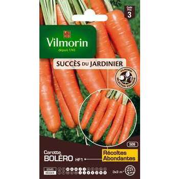 Graines de carotte Bolero Hybride F1 en sachet