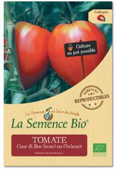Graines de tomate Cuor di Bue Oxheart Bio en sache