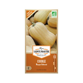 Courge musquée butternut sachet 1,58 gr
