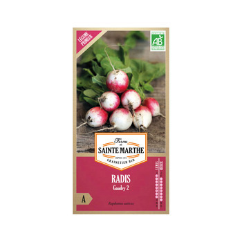 Graines de radis gaudry 2 Bio en sachet