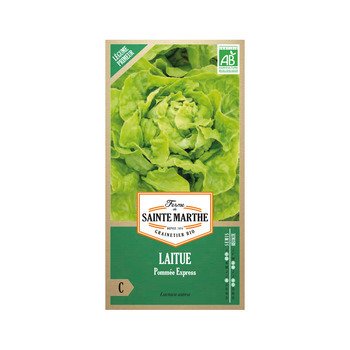 Graines de laitue pommée express Bio en sachet