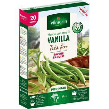 Graines de haricot nain Vert Vanilla en boite