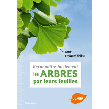 Reconnaître les arbres par leurs feuilles