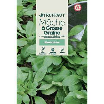 Graines de mâche à grosse graine en sachet