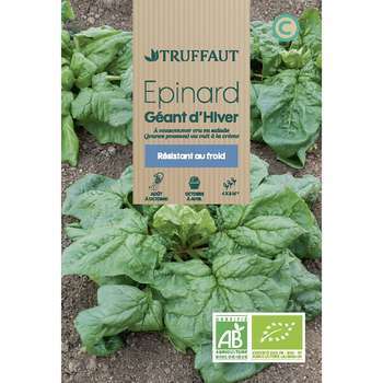 Graines d'épinard'geant d'Hiver Bio en sachet