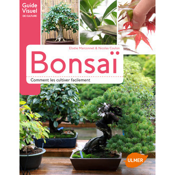 Livre : Bonsaïs