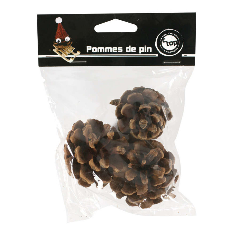 Pomme de pin 5,5 cmx3 pièces
