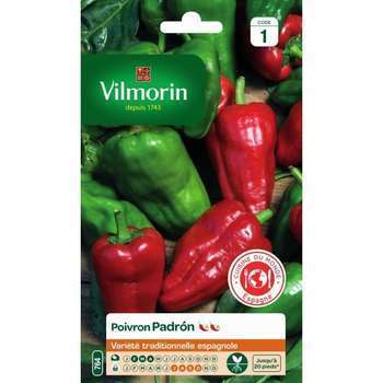 Graines de poivron Padron en sachet