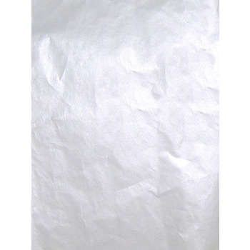 Feuille décopatch : unie argent