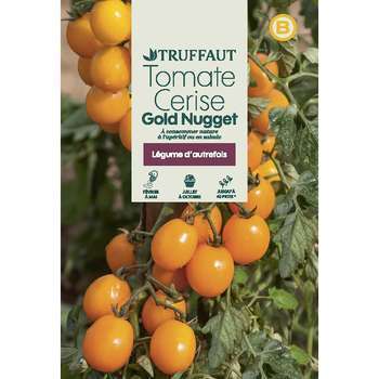 Tomate Gold Nugget : en sachet
