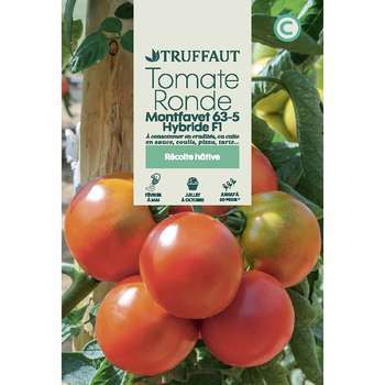 Tomate Montfavet 63/5 hybride F1 : sachet
