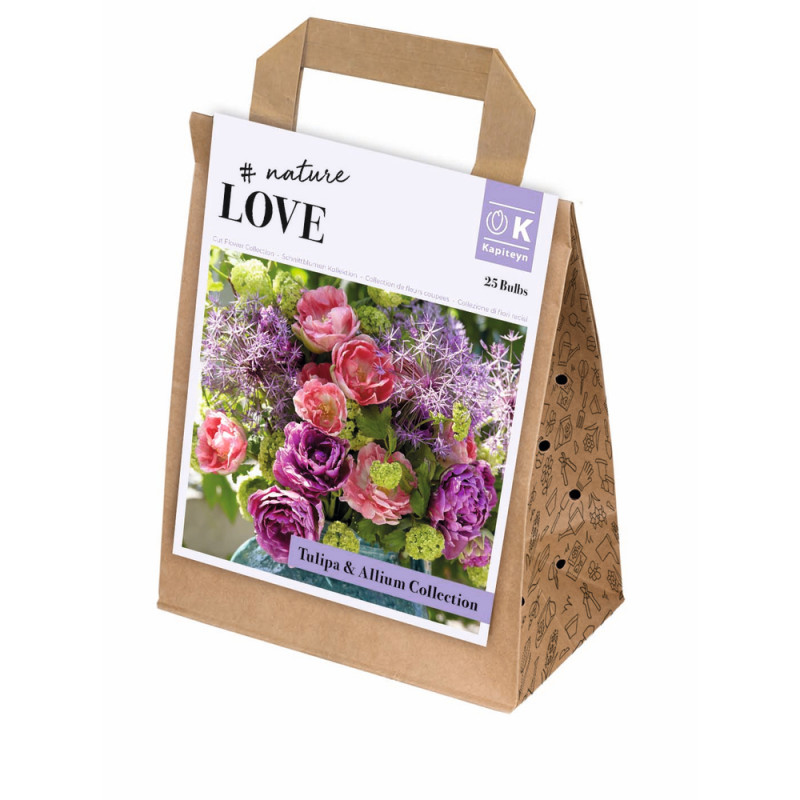 Bulbes de tulipes et d'allium : coloris mixte x15