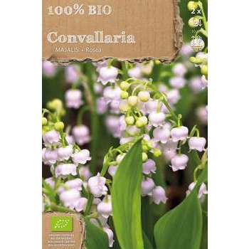 Griffe de muguet rose BIO