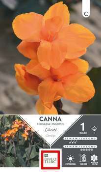 Canna Haut Liberte I X1