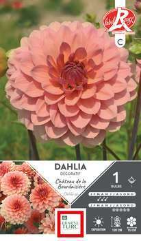 Bulbe dahlia déco Château Bourdaisière x1