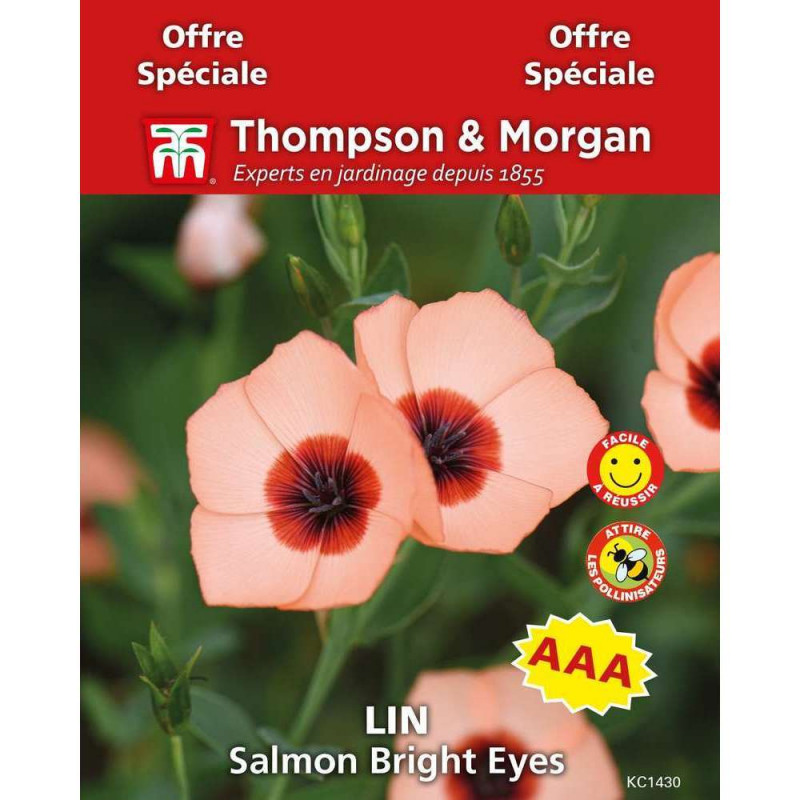 Graines de Lin 'Salmon Bright Eyes'