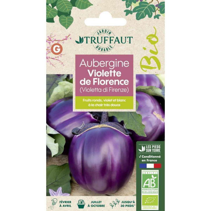 Graines d'Aubergine Violette de Florence Bio