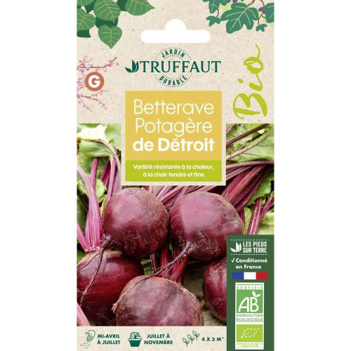 Graines de Betterave potagère de Détroit 2 Bio