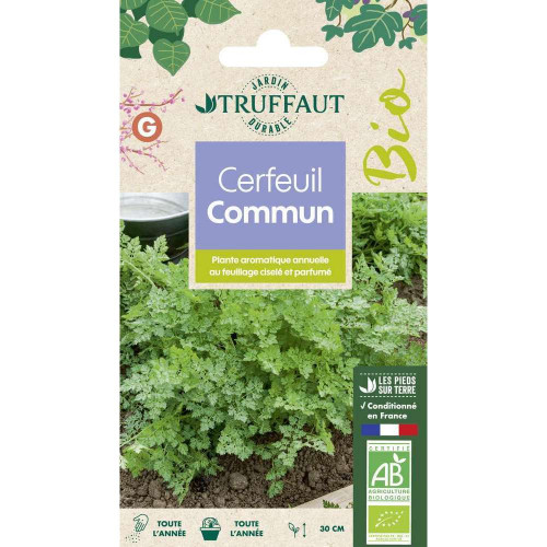 Graines de cerfeuil Commun Bio