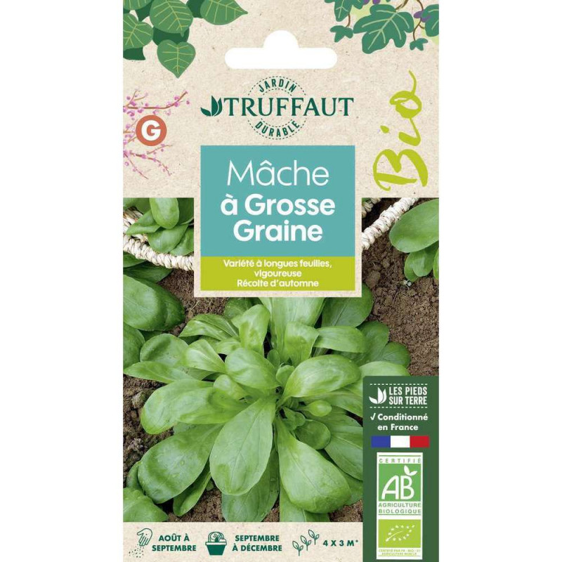 Graines de Mâche à Grosse Graine Bio