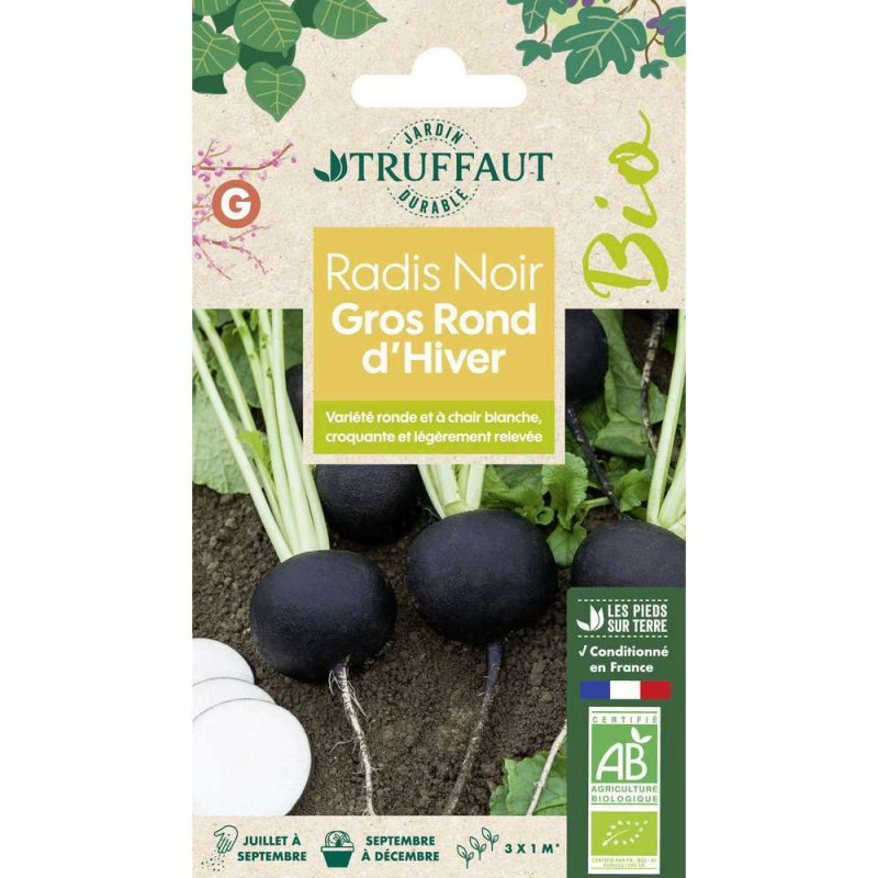 Graines de Radis Noir Noir Gros Long d'Hiver Bio