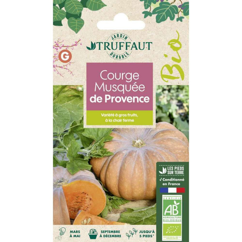 Graines de Courge Musquée Muscade (d'Hiver de Prov