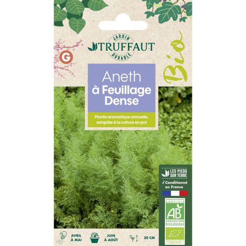 Graines d'aneth Officinal Bio