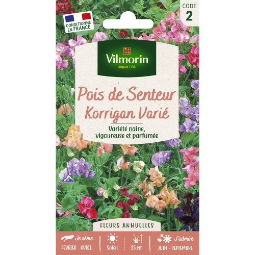 Pois de Senteur Korrigan varié