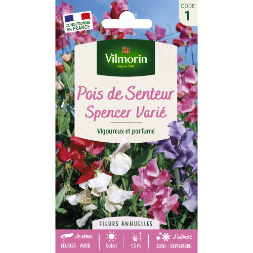 Pois de Senteur Spencer Varié