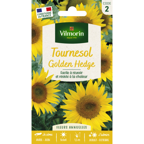 Tournesol Golden Hedge