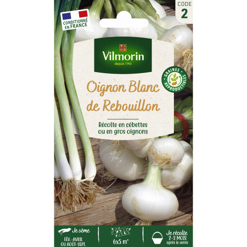 Graines, oignon blanc de Rebouillon