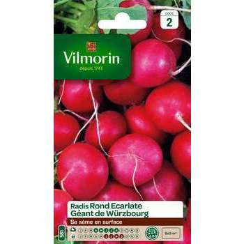 Graines de radis rond'Eclarlate geant de Wüzbourg