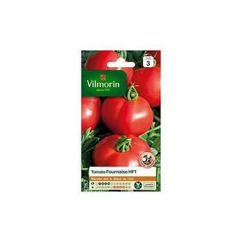Graines de tomate fournaise hybride F1 en sachet