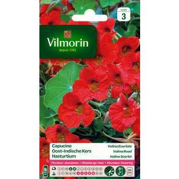Capucine Valina écarlate : en sachet